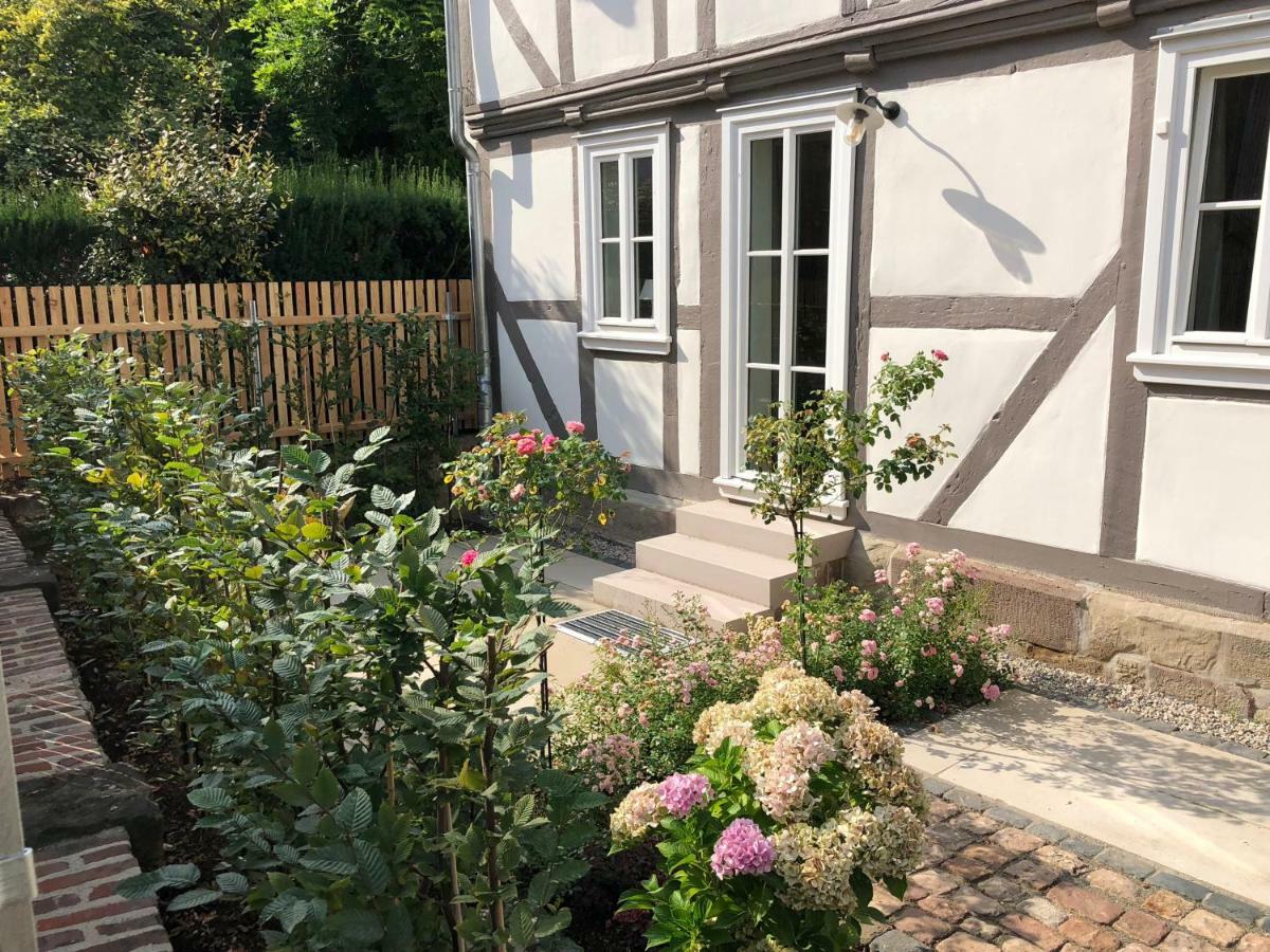Grimm'S Living Lägenhet Kassel Exteriör bild